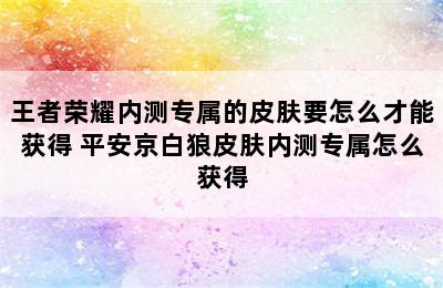 王者荣耀内测专属的皮肤要怎么才能获得 平安京白狼皮肤内测专属怎么获得